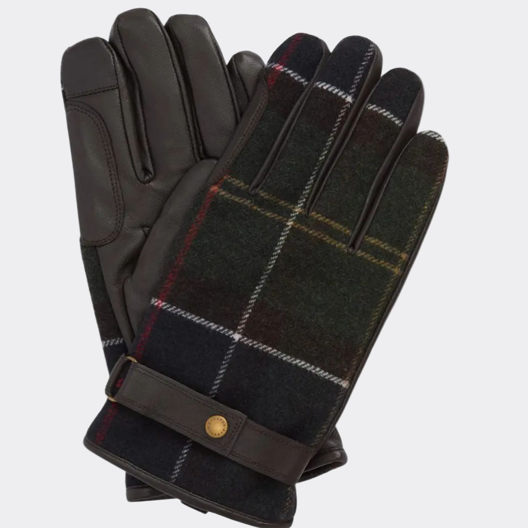 Pair of black gloves with plaid pattern on a white background