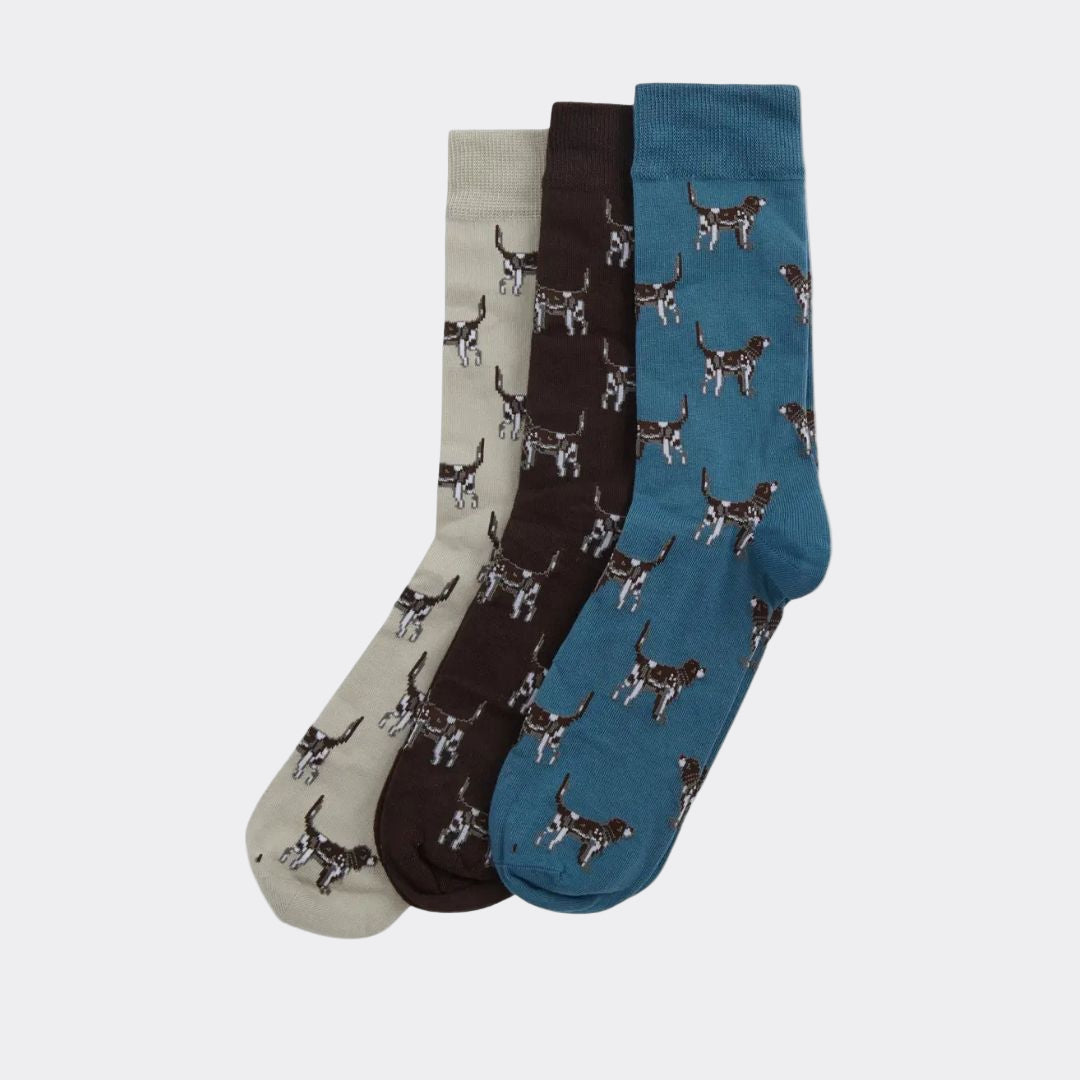 Barbour Pointer Dog Sock Gift Box in Bluestone