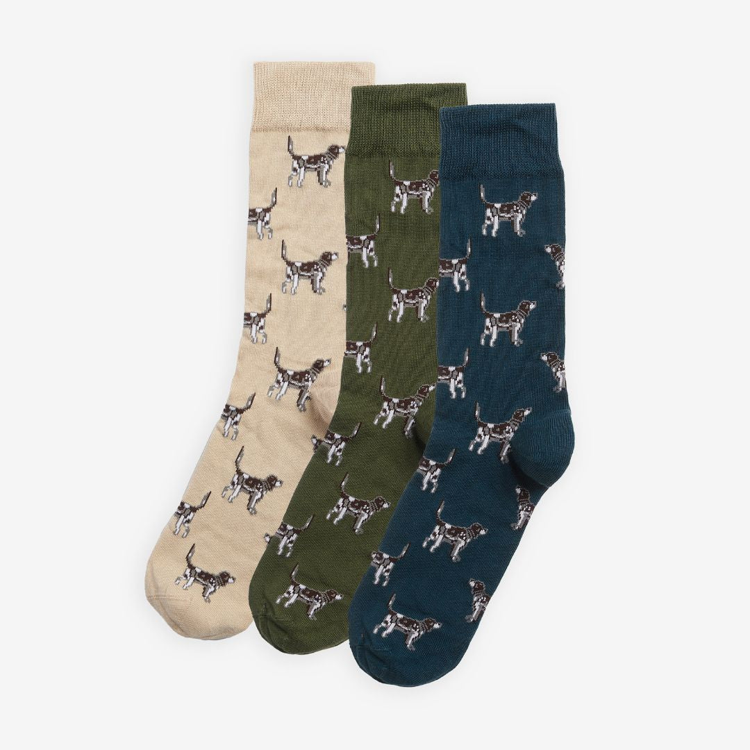 Barbour Pointer Dog Socks Gift Box in Forest Mist