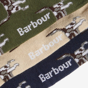 Barbour Pointer Dog Socks Gift Box in Forest Mist