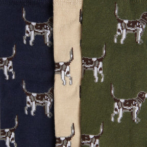 Barbour Pointer Dog Socks Gift Box in Forest Mist