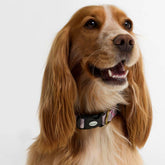 Barbour Printed Dog Collar in Pink Tartan