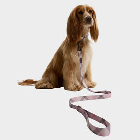 Barbour Printed Dog Lead in Pink Tartan