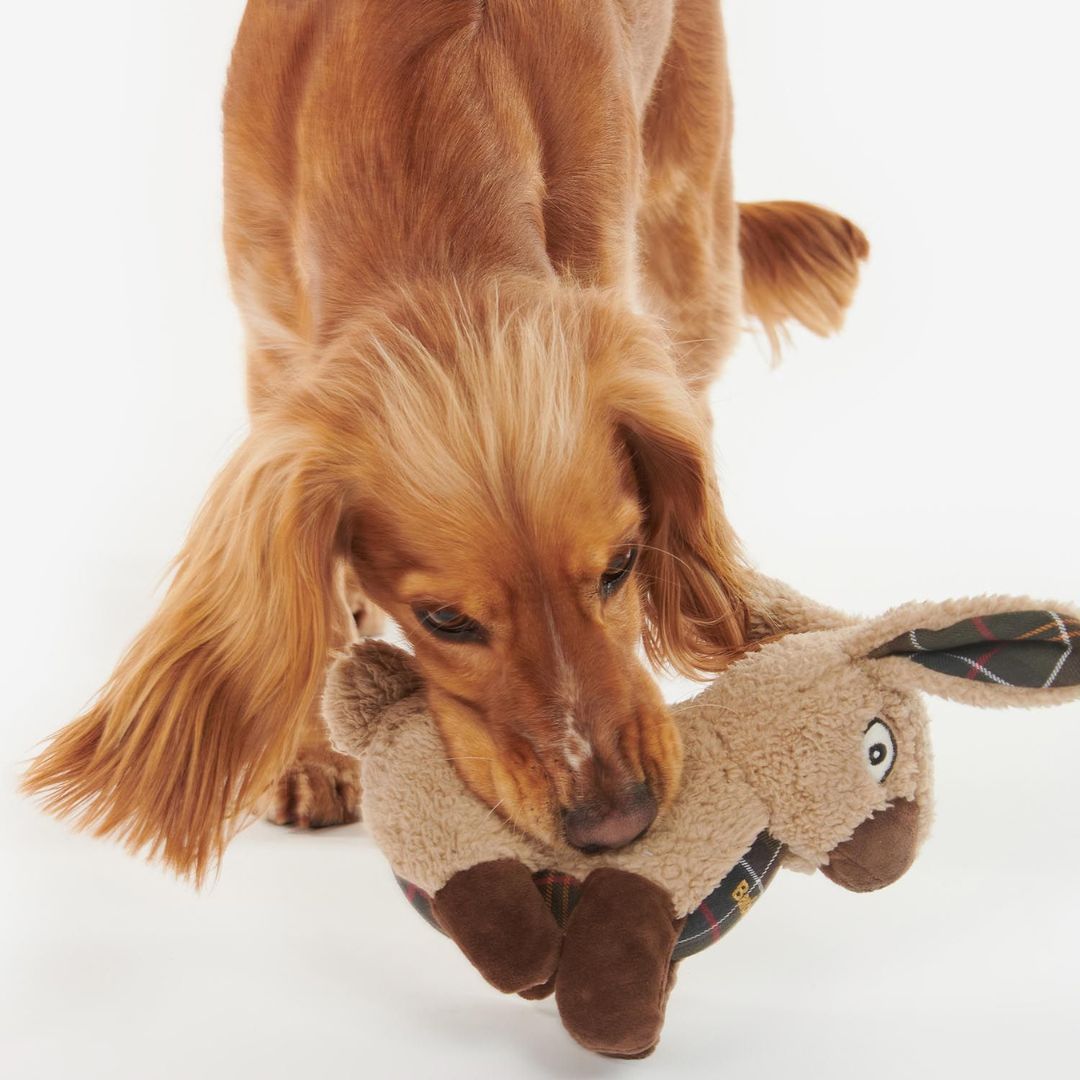 Barbour Rabbit Dog Toy