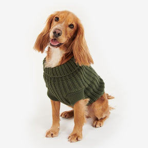 Barbour Saltburn Dog Jumper in Olive