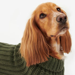 Barbour Saltburn Dog Jumper in Olive