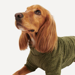 Barbour Teddy Fleece Dog Jumper in Olive