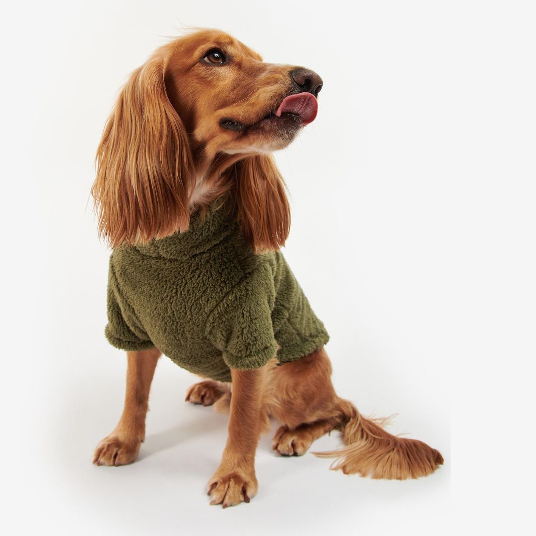 Barbour Teddy Fleece Dog Jumper in Olive