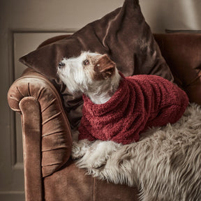 Barbour Teddy Fleece Dog Jumper in Red