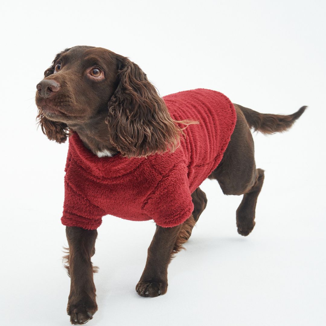 Barbour Teddy Fleece Dog Jumper in Red