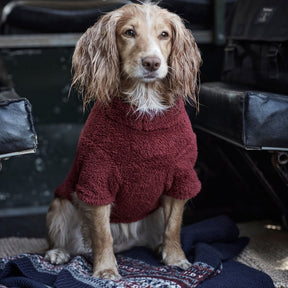 Barbour Teddy Fleece Dog Jumper in Red