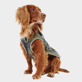 Barbour Waterproof Dog Coat in Muted Tartan