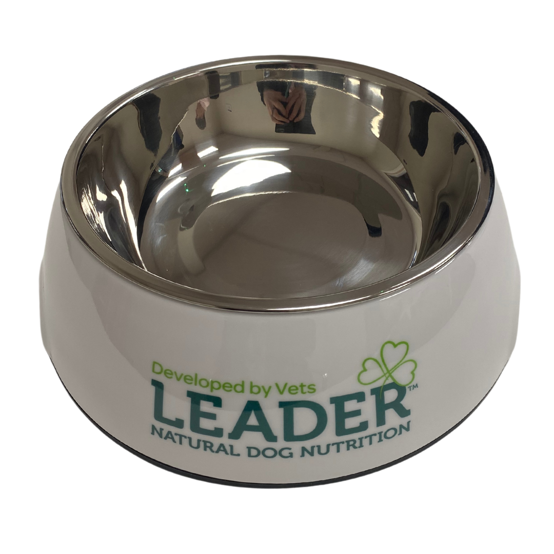 Leader 2-in-1 Large Dog Bowl