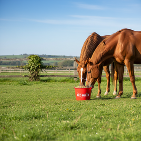 Red Mills Bucket