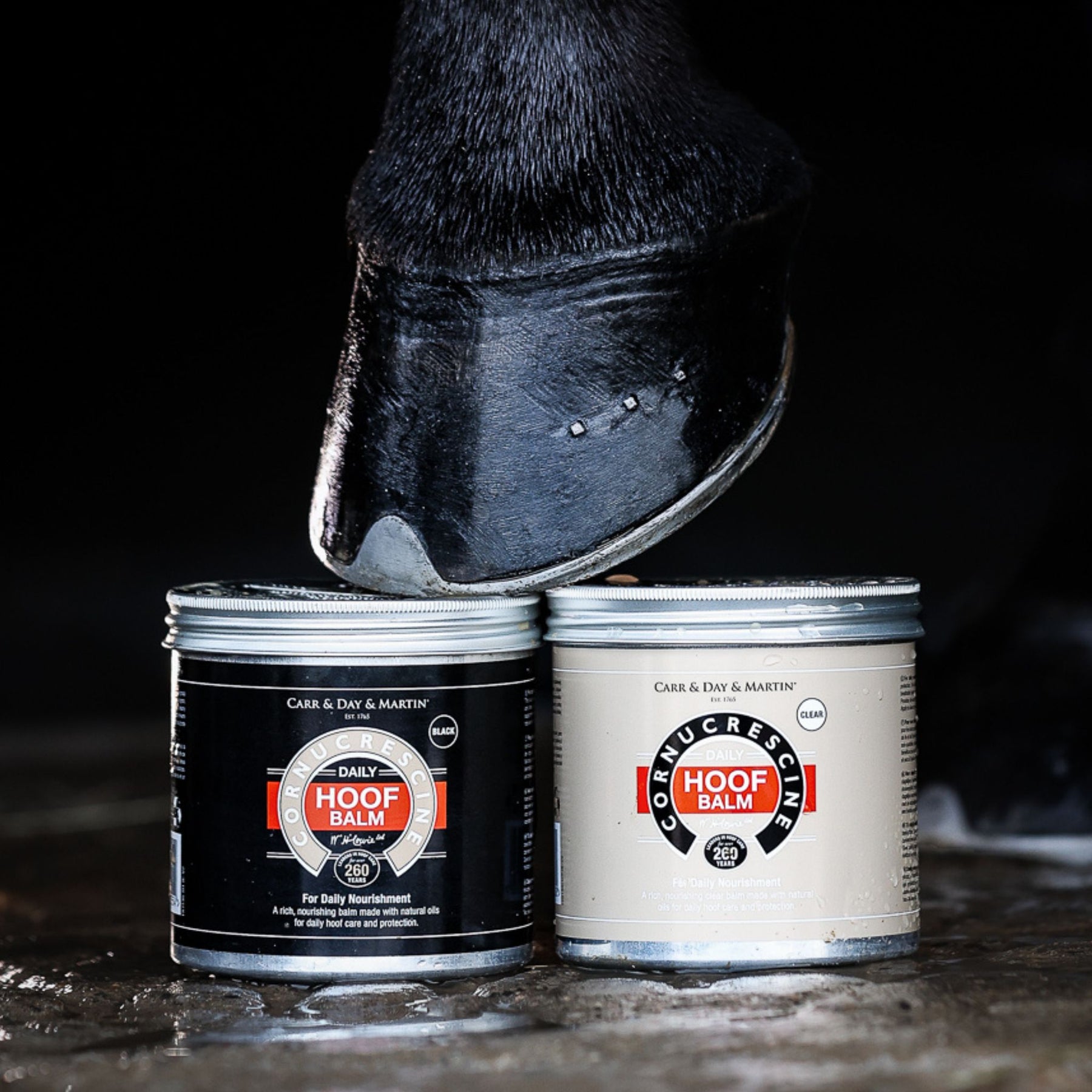 Carr & Day & Martin Cornucrescine Hoof Balm in Clear