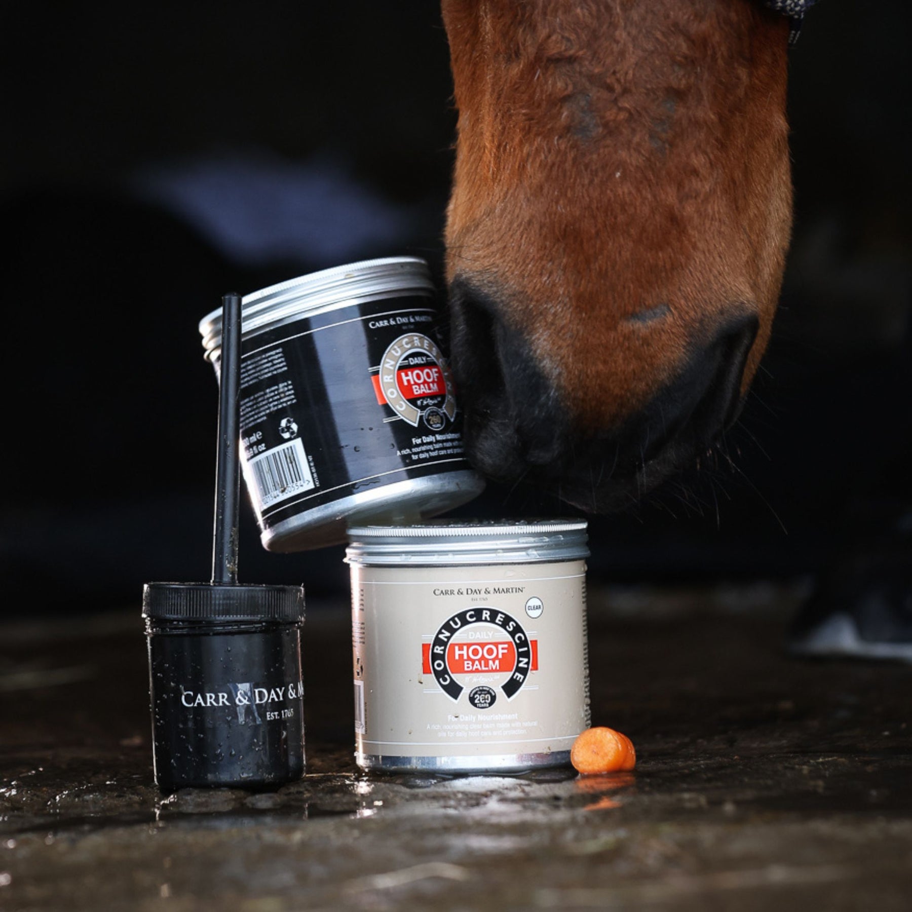 Carr & Day & Martin Cornucrescine Hoof Balm in Black
