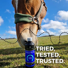 Carr & Day & Martin Killitch