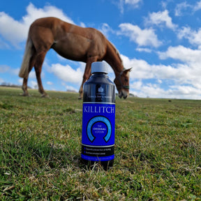 Carr & Day & Martin Killitch