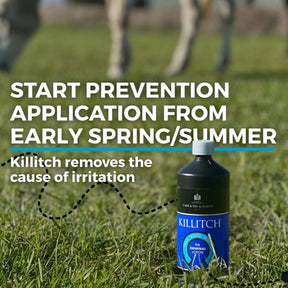 Carr & Day & Martin Killitch