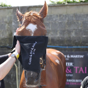 Carr & Day & Martin Horse Grooming Towel