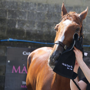 Carr & Day & Martin Horse Grooming Towel