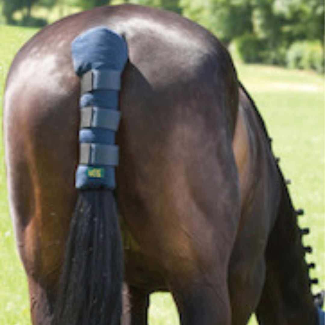 Celtic Equine Tail Guard Short in Navy