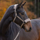 Covalliero Horse Halter in Taupe