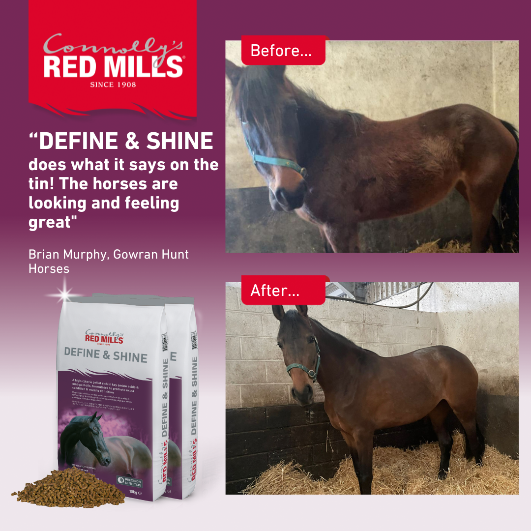 Red Mills Horse Define & Shine 18kg