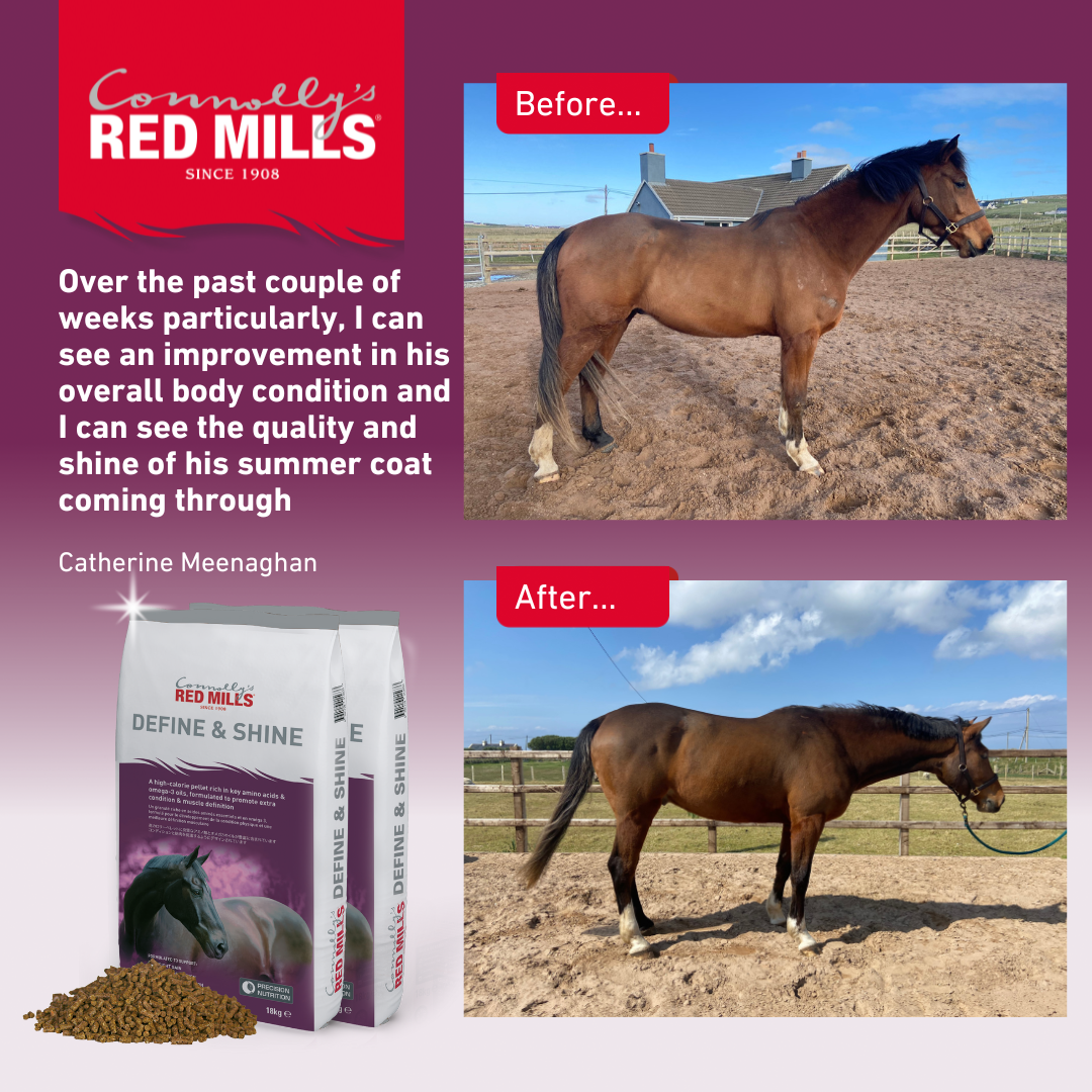 Red Mills Horse Define & Shine 18kg