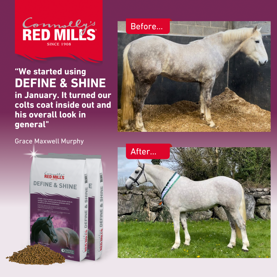 Red Mills Horse Define & Shine 18kg