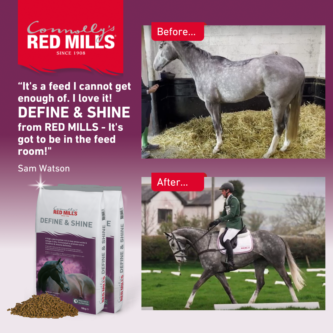 Red Mills Horse Define & Shine 18kg