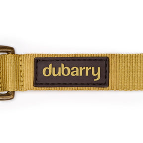 Dubarry Apollo Dog Collar in Gold