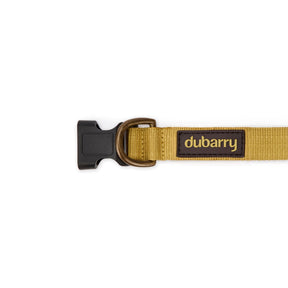 Dubarry Apollo Dog Collar in Gold