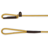 Dubarry Marley Dog Lead in Gold