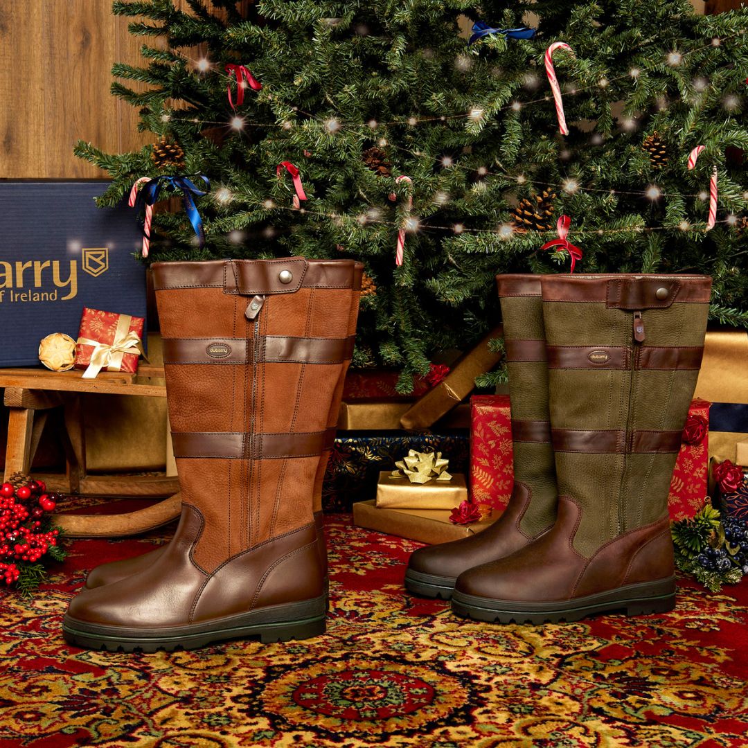 Dubarry Women's Galway Country Boot in Brown