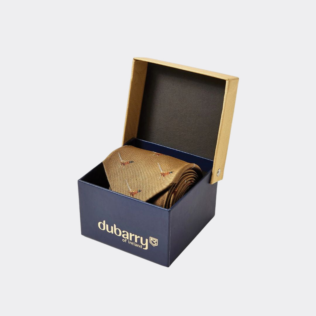 Brown tie with red patterns in a 'Dubarry' branded box on a white background