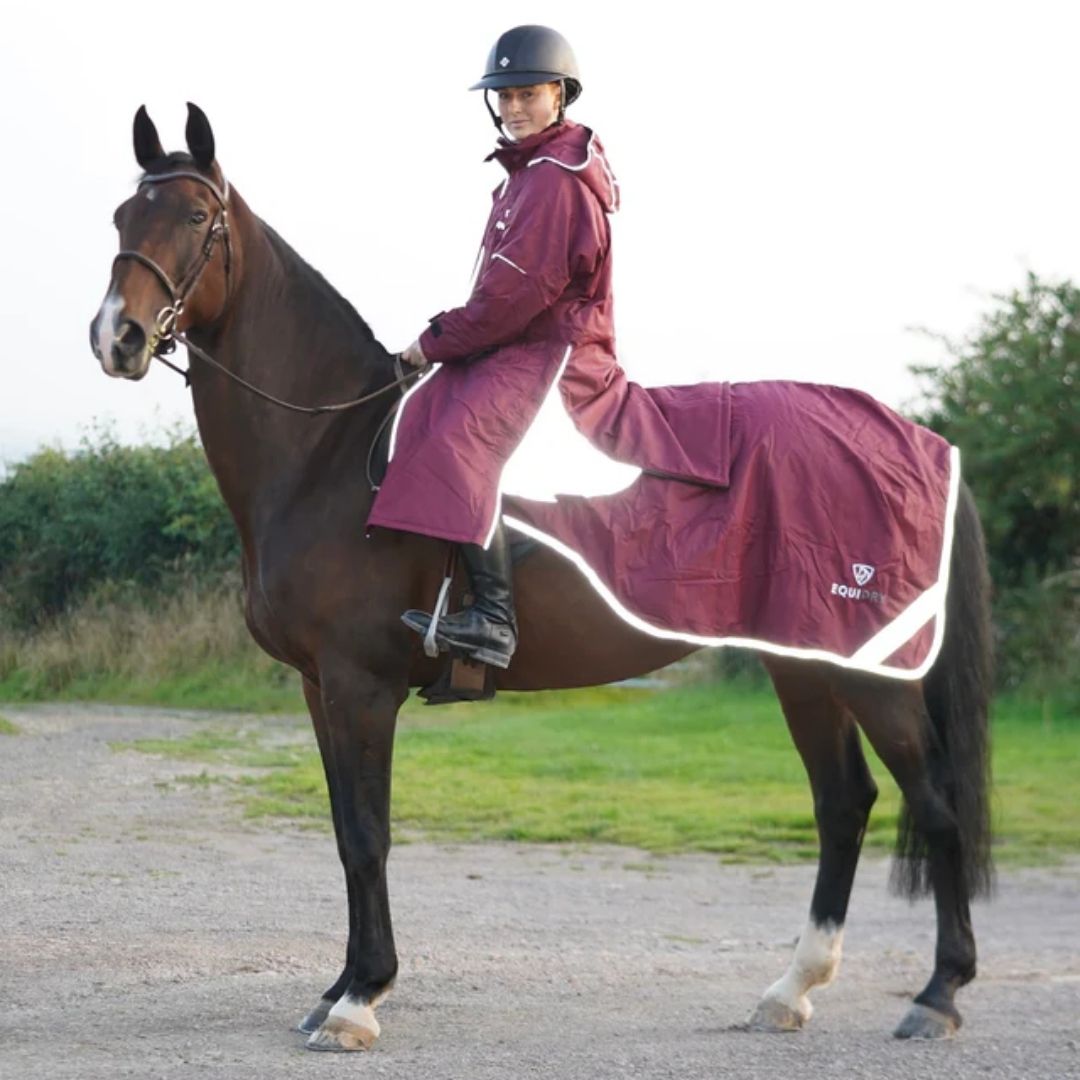 Equidry Women's Evolution Thin Fleece