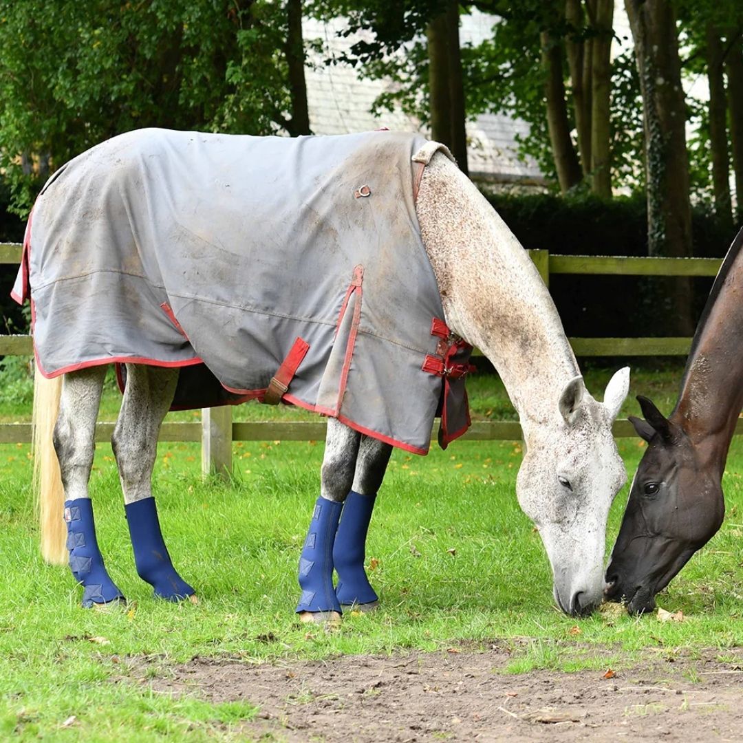 Equilibrium Equi-Chaps Hardy Turnout Boots