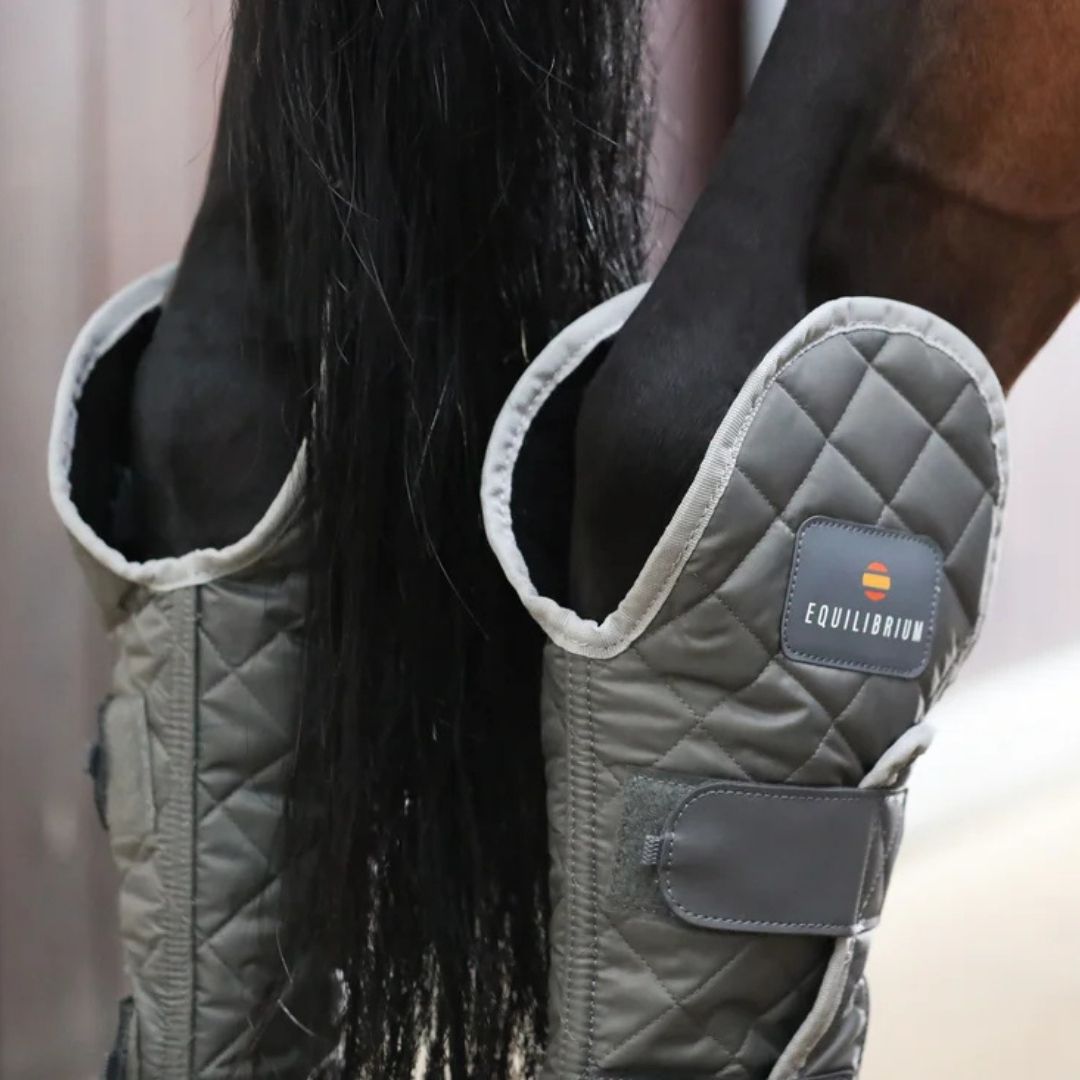 Equilibrium Hind & Hock Magnetic Chaps
