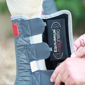 Equilibrium Magnetic Chaps