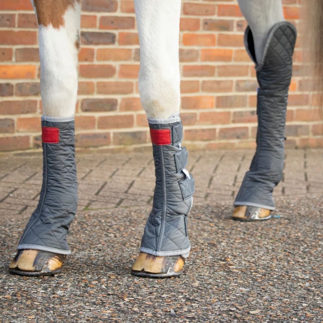 Equilibrium Magnetic Chaps
