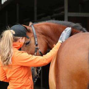 Equilibrium Massage Mitt Hotspot