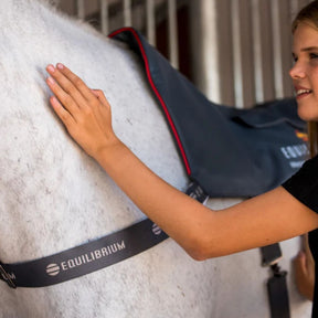 Equilibrium Massage Pad Heatsense