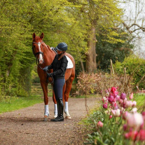 Equilibrium Stretch and Flex Flatwork Wraps in White