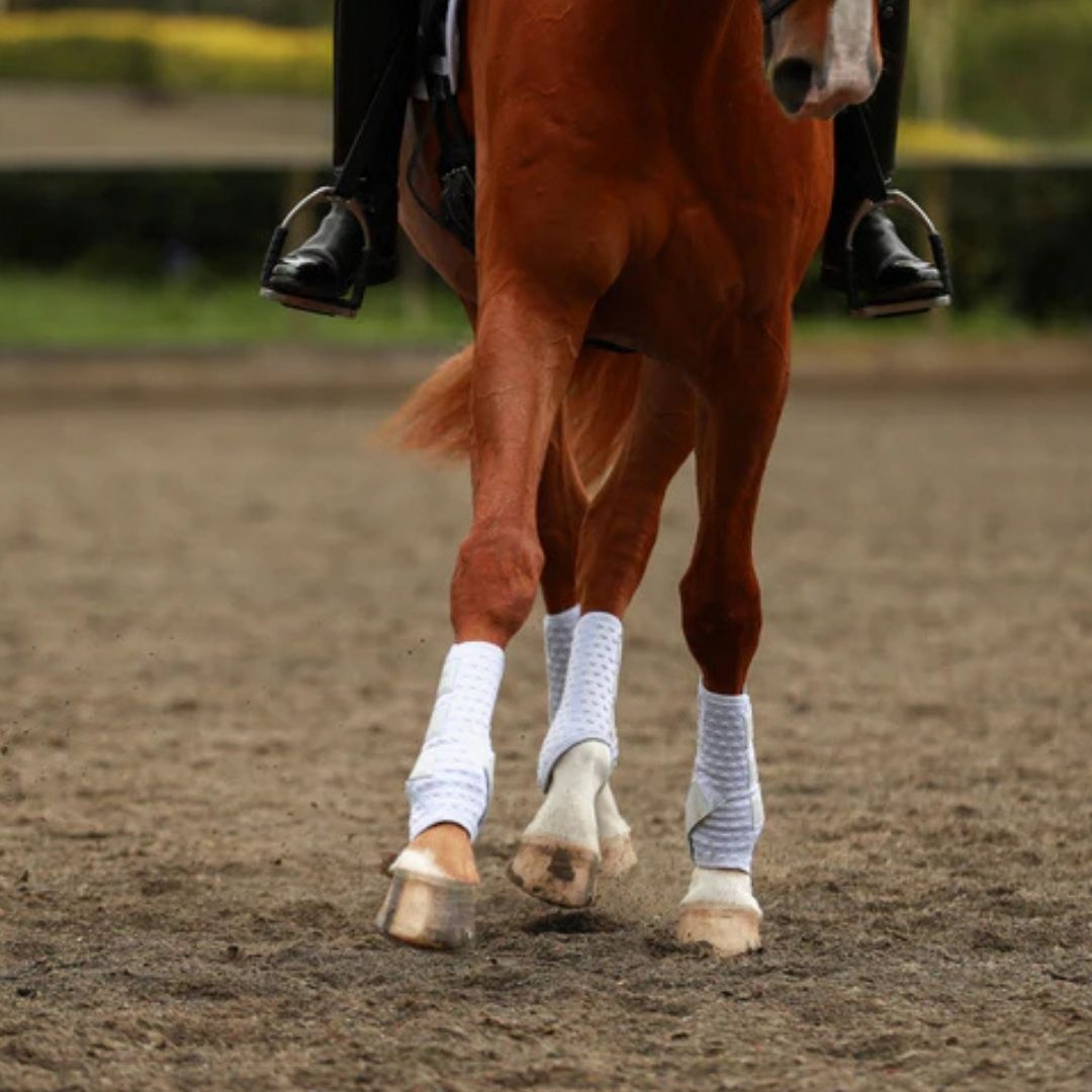 Equilibrium Stretch and Flex Flatwork Wraps in White