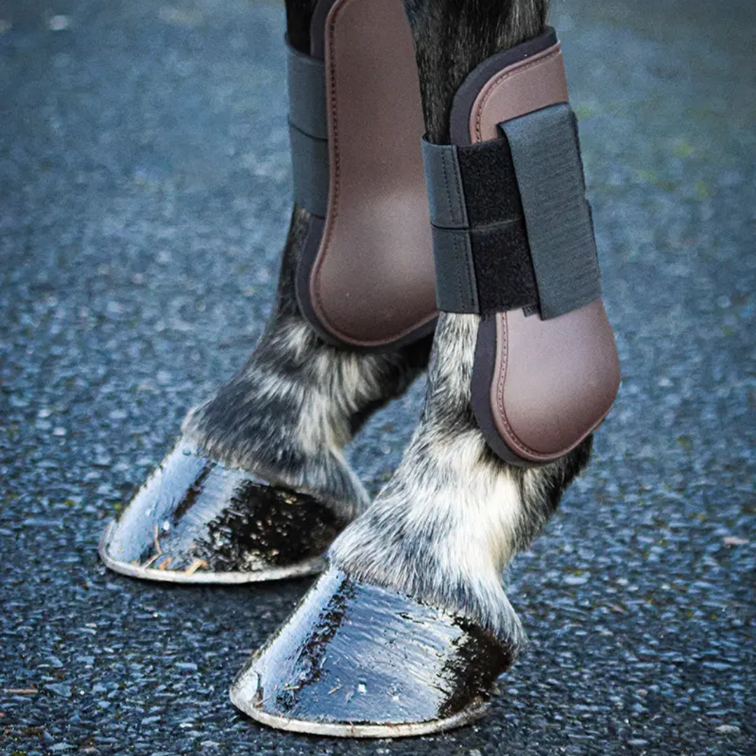 Equisential Basic Tendon Boots