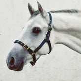 Equisential Economy Headcollar Foal