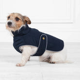 Fairfax & Favor Charlotte Padded Dog Coat in Navy
