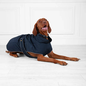 Fairfax & Favor Charlotte Padded Dog Coat in Navy