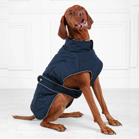 Fairfax & Favor Charlotte Padded Dog Coat in Navy